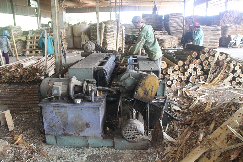 More thrust for the forest product manufacturing and processing industry